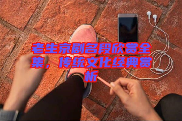 老生京劇名段欣賞全集，傳統(tǒng)文化經(jīng)典賞析