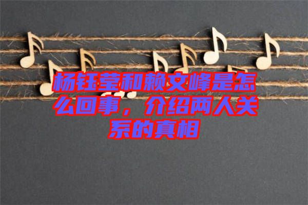 楊鈺瑩和賴文峰是怎么回事，介紹兩人關(guān)系的真相