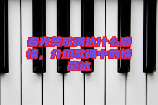 春光美歌詞達(dá)什么感情，介紹歌詞中的情感達(dá)