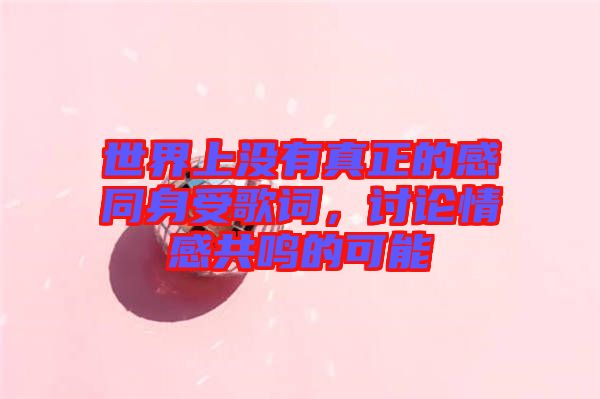 世界上沒有真正的感同身受歌詞，討論情感共鳴的可能