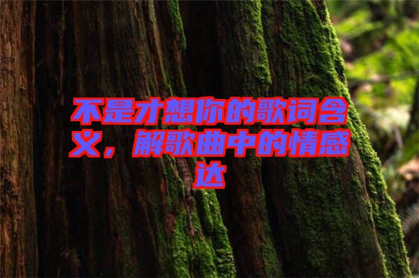 不是才想你的歌詞含義，解歌曲中的情感達