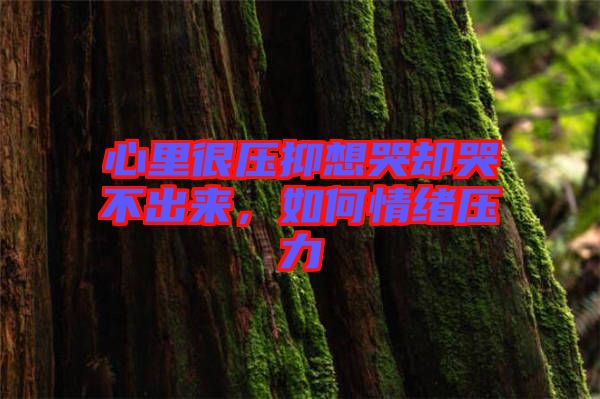 心里很壓抑想哭卻哭不出來，如何情緒壓力