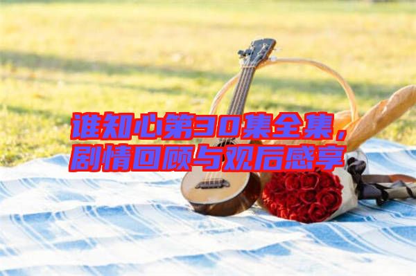 誰知心第30集全集，劇情回顧與觀后感享