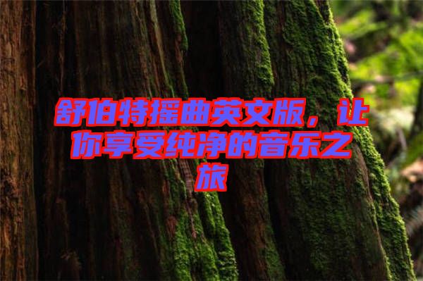 舒伯特?fù)u曲英文版，讓你享受純凈的音樂(lè)之旅