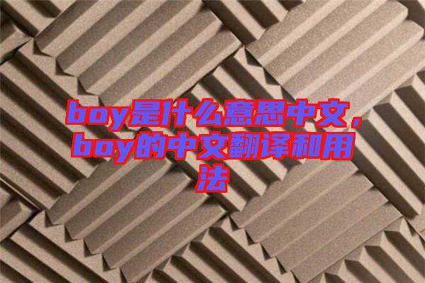 boy是什么意思中文，boy的中文翻譯和用法