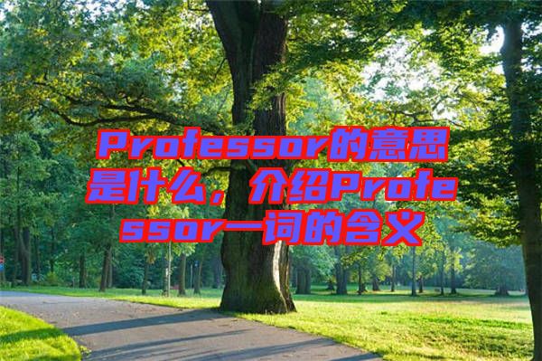 Professor的意思是什么，介紹Professor一詞的含義