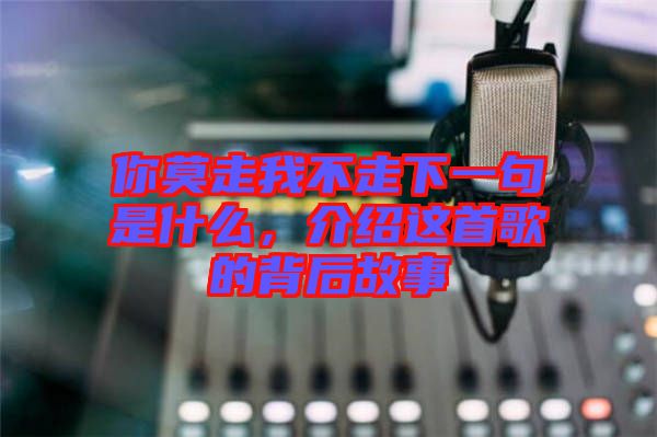 你莫走我不走下一句是什么，介紹這首歌的背后故事