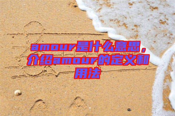 amour是什么意思，介紹amour的定義和用法