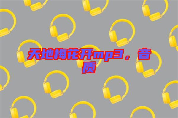 天地梅花開mp3，音質(zhì)