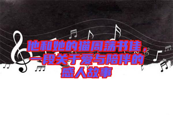 他和她的貓周蕩書佳，一段關于愛與陪伴的感人故事