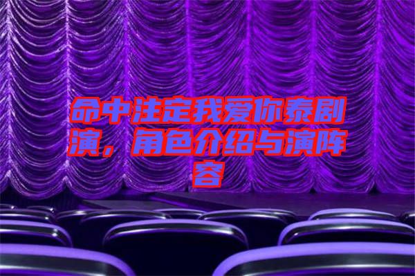 命中注定我愛你泰劇演，角色介紹與演陣容