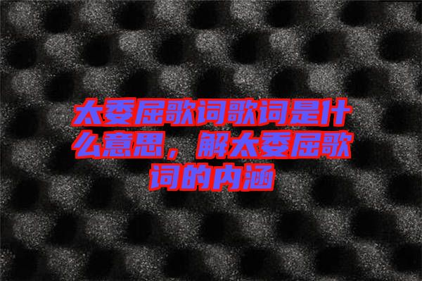 太委屈歌詞歌詞是什么意思，解太委屈歌詞的內涵