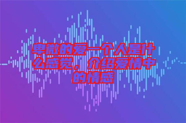 卑微的愛一個人是什么感覺，介紹愛情中的情感