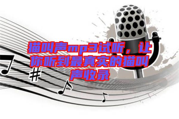 貓叫聲mp3試聽，讓你聽到最真實的貓叫聲收錄