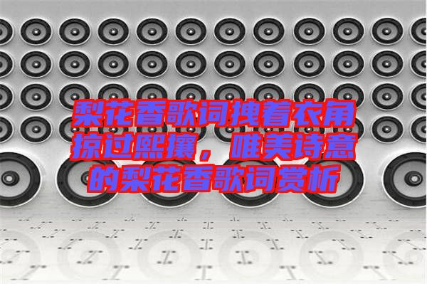 梨花香歌詞拽著衣角掠過熙攘，唯美詩意的梨花香歌詞賞析