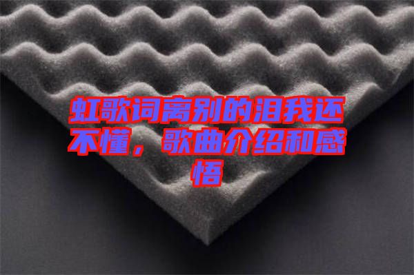 虹歌詞離別的淚我還不懂，歌曲介紹和感悟