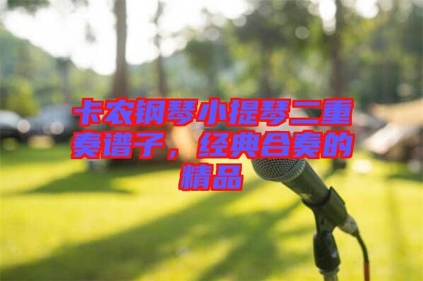 卡農(nóng)鋼琴小提琴二重奏譜子，經(jīng)典合奏的精品