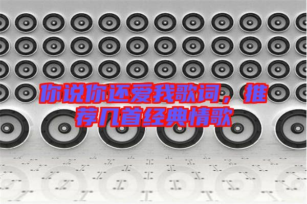 你說(shuō)你還愛(ài)我歌詞，推薦幾首經(jīng)典情歌