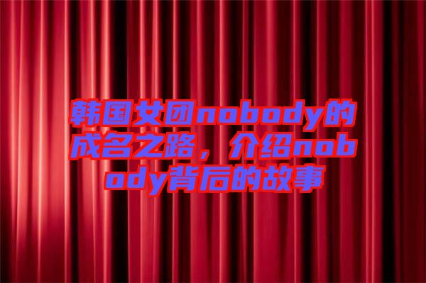 韓國(guó)女團(tuán)nobody的成名之路，介紹nobody背后的故事