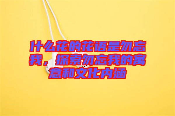 什么花的花語(yǔ)是勿忘我，探索勿忘我的寓意和文化內(nèi)涵