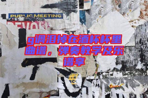 g調(diào)淚掉在酒杯杯里曲譜，彈奏教學及樂譜享