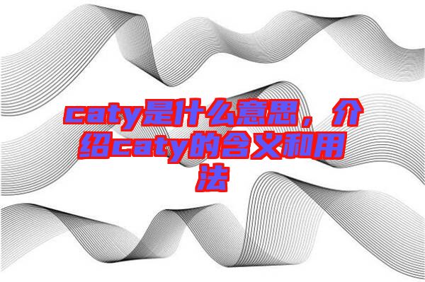 caty是什么意思，介紹caty的含義和用法