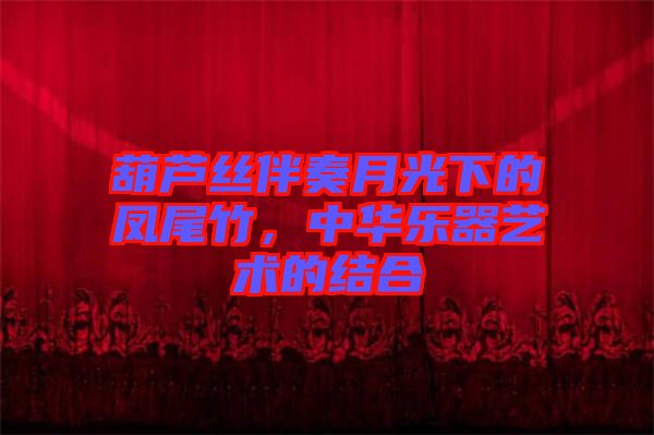 葫蘆絲伴奏月光下的鳳尾竹，中華樂器藝術(shù)的結(jié)合