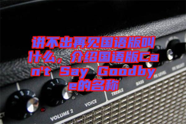 講不出再見國語版叫什么，介紹國語版Can't Say Goodbye的名稱