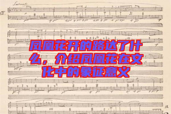 鳳凰花開的路達(dá)了什么，介紹鳳凰花在文化中的象征意義