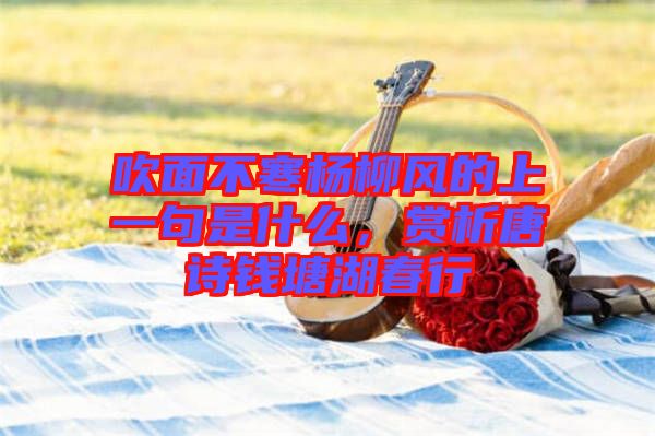 吹面不寒楊柳風的上一句是什么，賞析唐詩錢塘湖春行