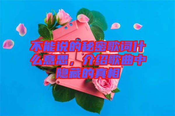 不能說的秘密歌詞什么意思，介紹歌曲中隱藏的真相