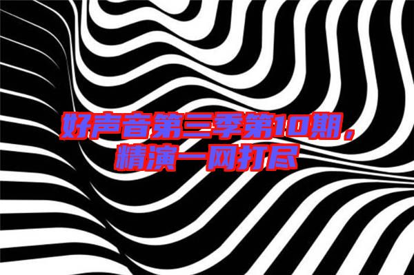 好聲音第三季第10期，精演一網(wǎng)打盡