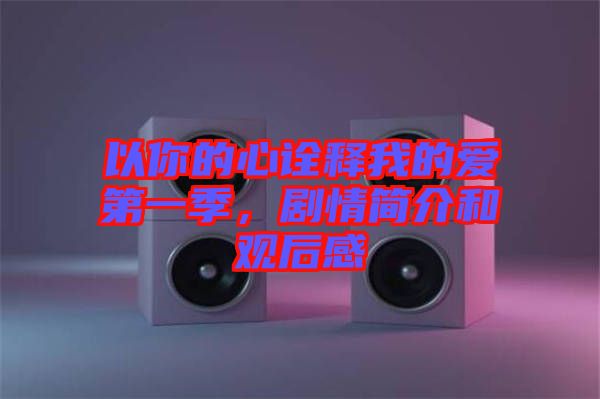 以你的心詮釋我的愛第一季，劇情簡介和觀后感