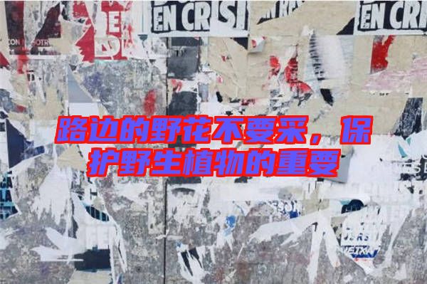 路邊的野花不要采，保護(hù)野生植物的重要