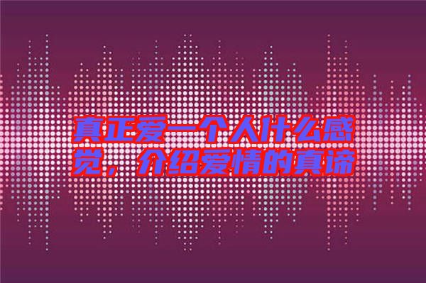 真正愛(ài)一個(gè)人什么感覺(jué)，介紹愛(ài)情的真諦