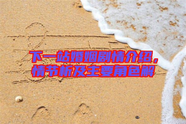 下一站婚姻劇情介紹，情節(jié)析及主要角色解