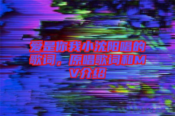愛是你我小沈陽唱的歌詞，原唱歌詞和MV介紹