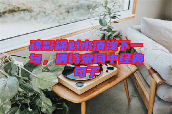 疏影橫斜水清淺下一句，唐詩(shī)宋詞中經(jīng)典句子