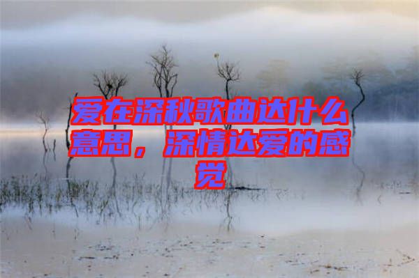 愛在深秋歌曲達(dá)什么意思，深情達(dá)愛的感覺