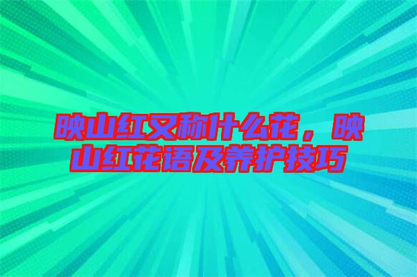 映山紅又稱什么花，映山紅花語及養(yǎng)護(hù)技巧