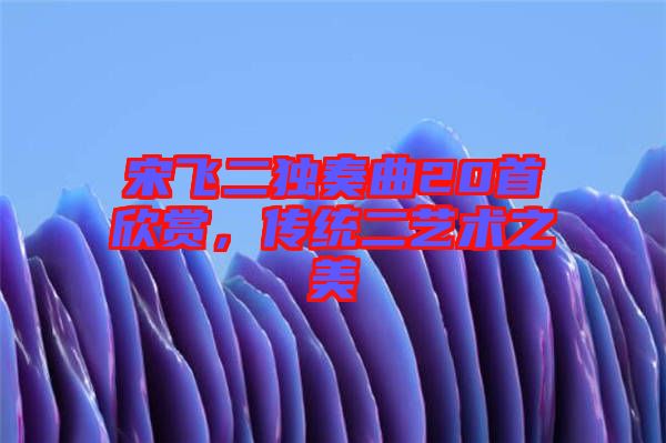 宋飛二獨(dú)奏曲20首欣賞，傳統(tǒng)二藝術(shù)之美