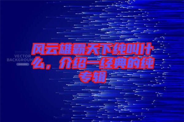 風(fēng)云雄霸天下純叫什么，介紹一經(jīng)典的純專(zhuān)輯