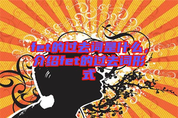 fet的過去詞是什么，介紹fet的過去詞形式