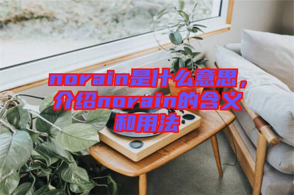 norain是什么意思，介紹norain的含義和用法