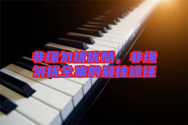 非緣勿擾優(yōu)酷，非緣勿擾全集的最佳途徑