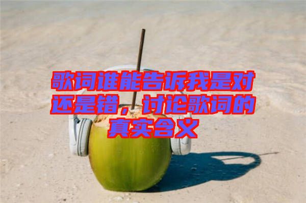歌詞誰能告訴我是對還是錯(cuò)，討論歌詞的真實(shí)含義