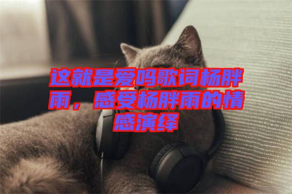 這就是愛嗎歌詞楊胖雨，感受楊胖雨的情感演繹