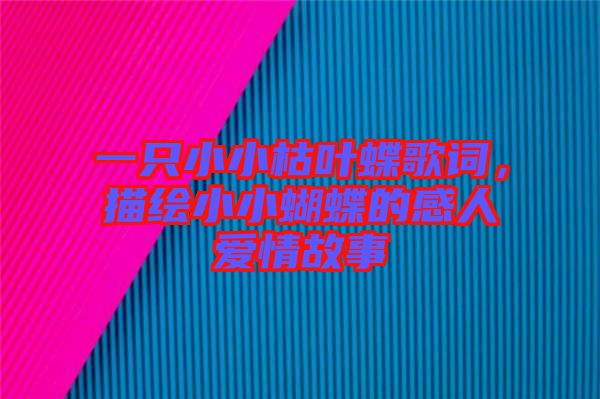 一只小小枯葉蝶歌詞，描繪小小蝴蝶的感人愛(ài)情故事