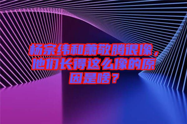 楊宗緯和蕭敬騰很像，他們長(zhǎng)得這么像的原因是啥？
