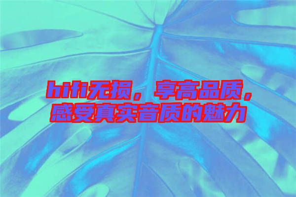 hifi無損，享高品質，感受真實音質的魅力